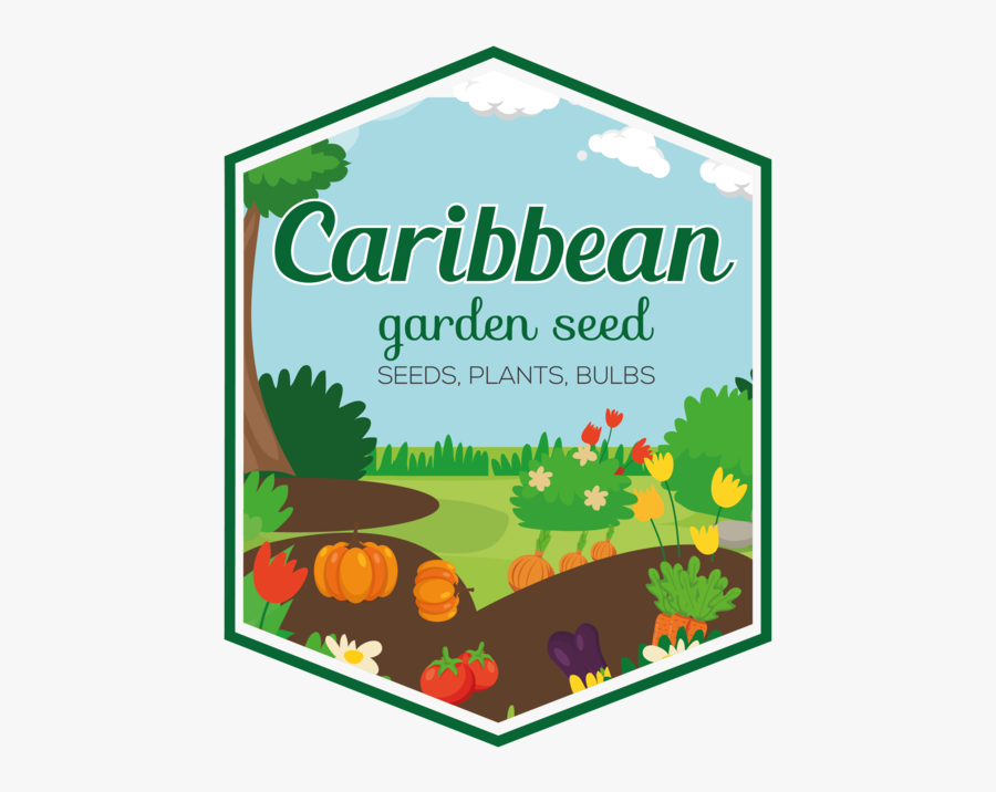 Caribbean Garden Seeds, Transparent Clipart