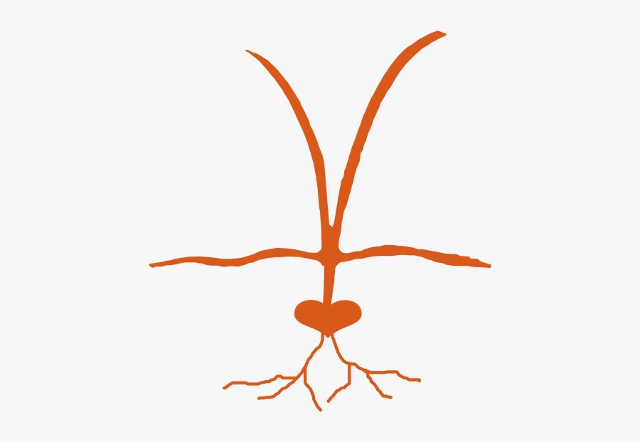 Picture, Transparent Clipart