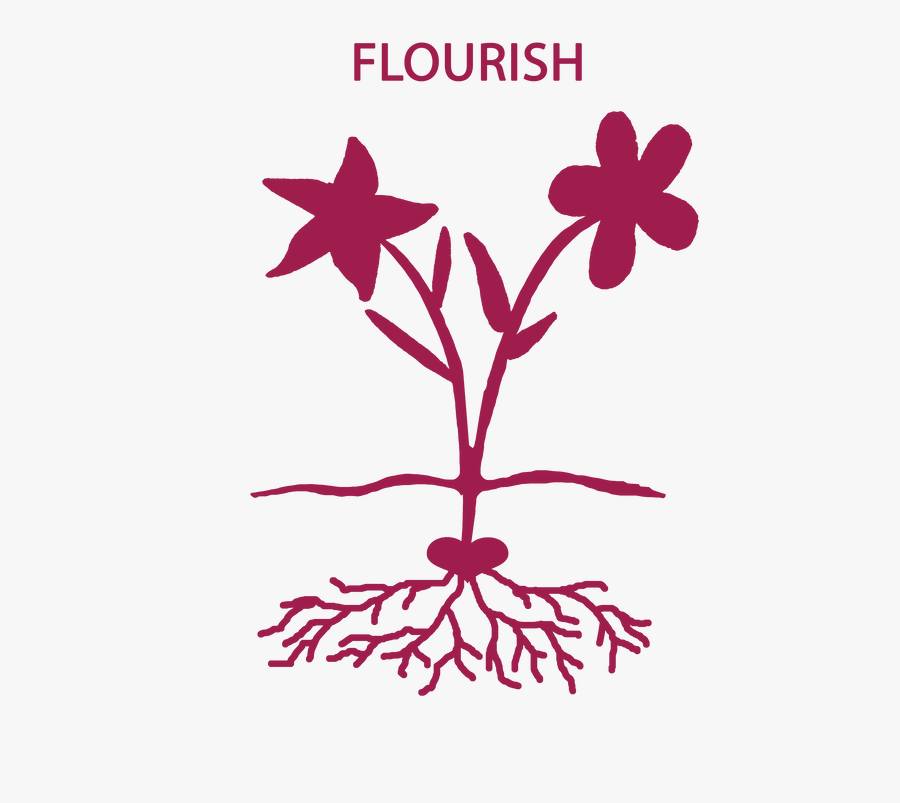 Picture - Foundation, Transparent Clipart