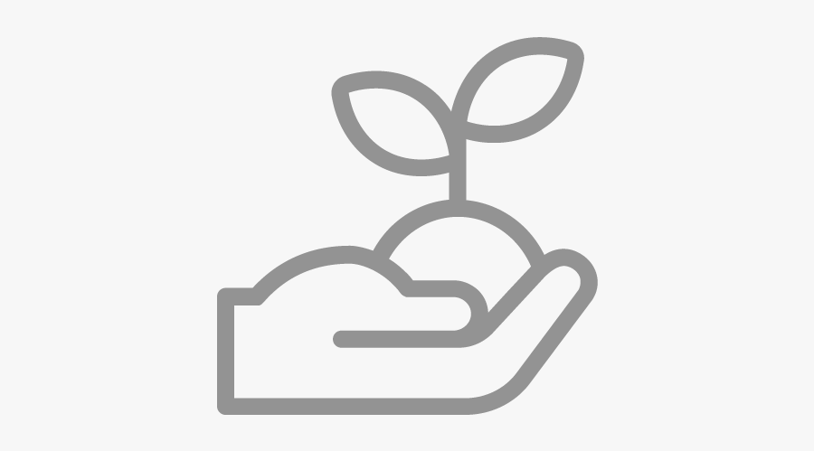 Sprout Seed Icon Grey, Transparent Clipart