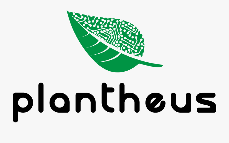 Graphic Design, Transparent Clipart