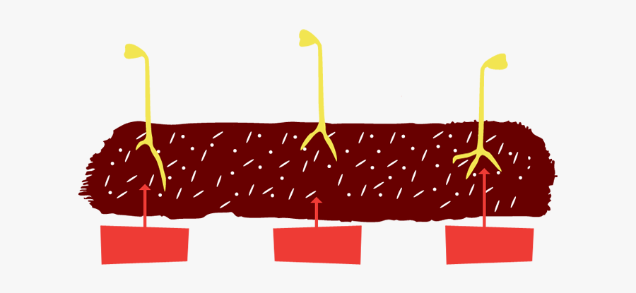 Sprouting Stage - Illustration, Transparent Clipart