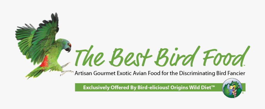 Ladybug, Transparent Clipart