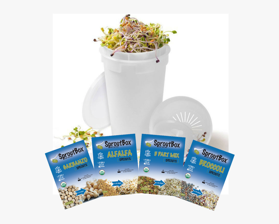 Sprouting Kit - Sprouting, Transparent Clipart