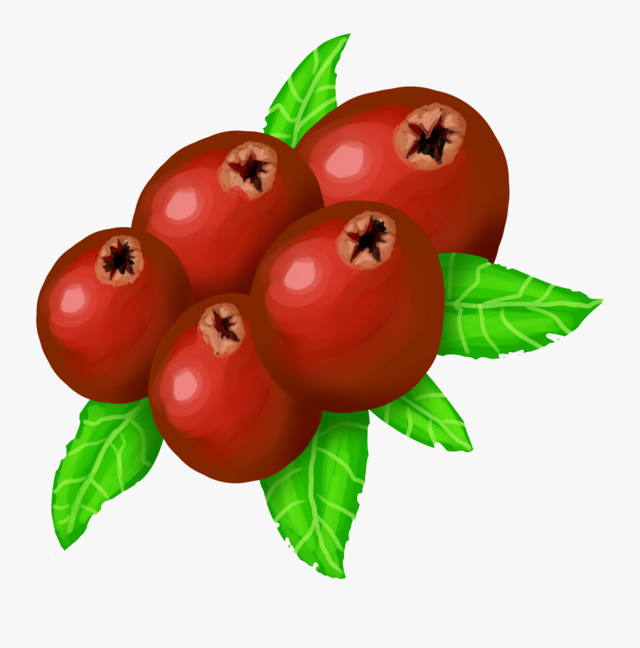 Berry, Transparent Clipart