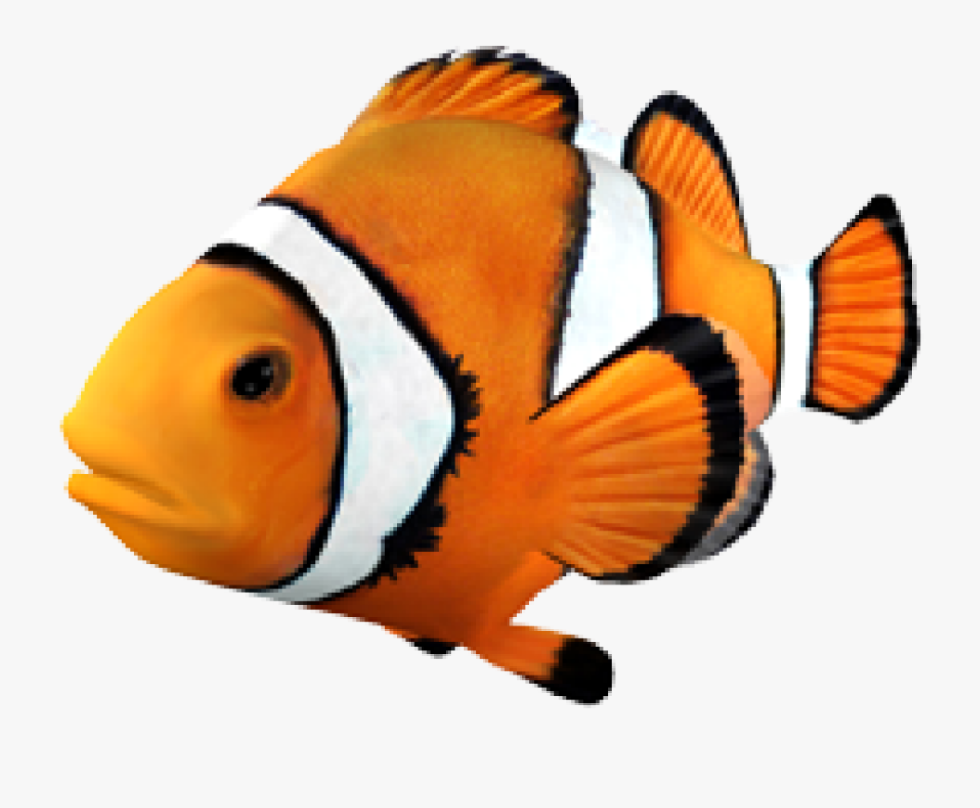 Goldfish Clownfish Angelfish Tropical Fish - Clown Fish Transparent Background, Transparent Clipart