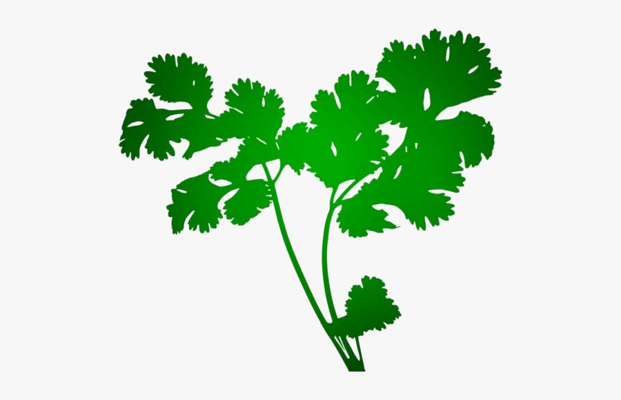 Green Png Hd Images, Stickers, Vectors - Herbs Png, Transparent Clipart