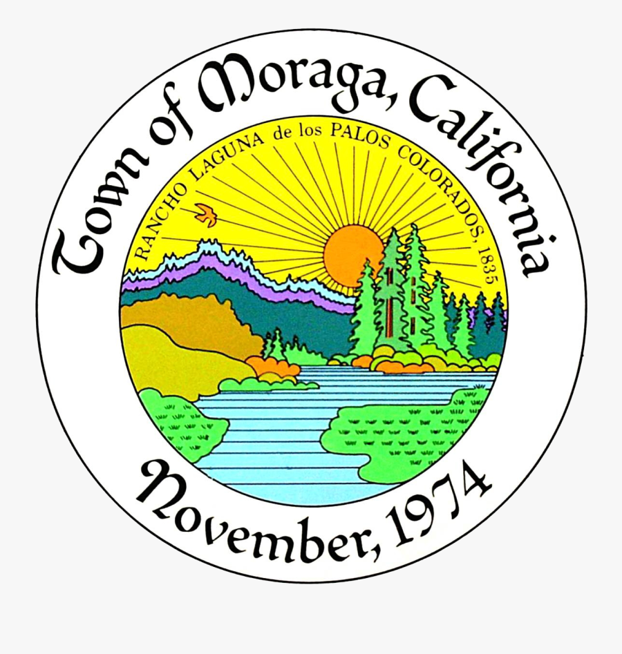 Circle, Transparent Clipart