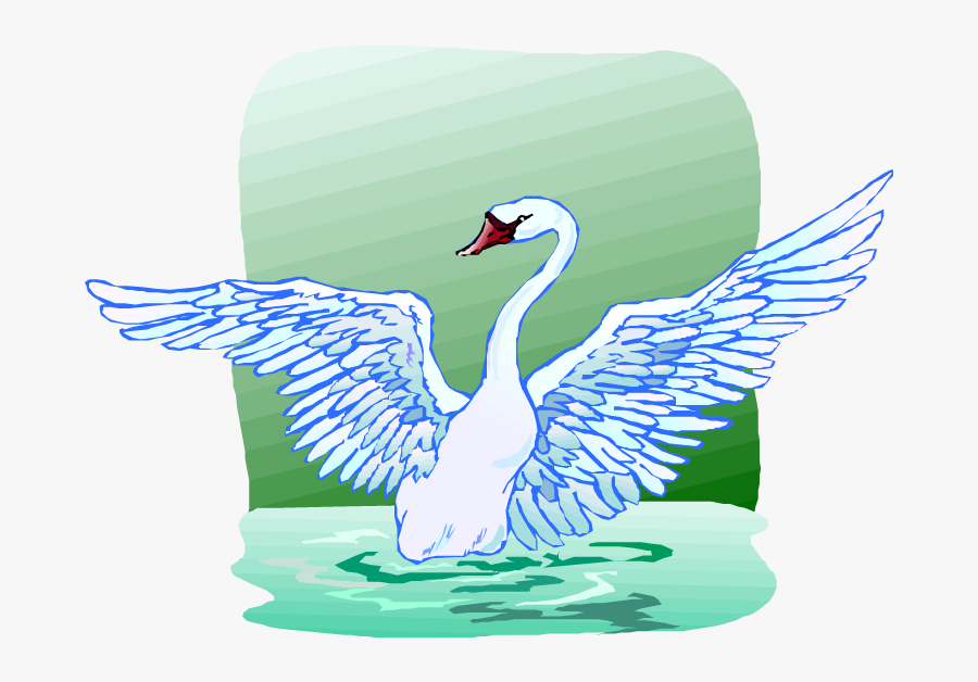 Trumpeter Swan, Transparent Clipart