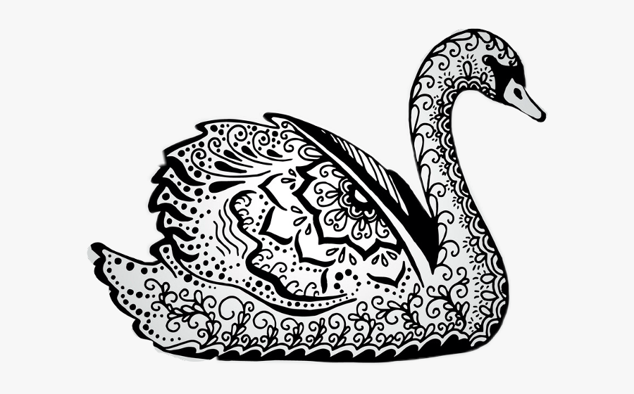 Scswan Swan Freetoedit - Swan Doodle, Transparent Clipart