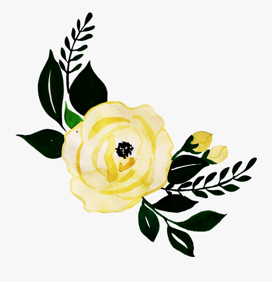 Floribunda, Transparent Clipart