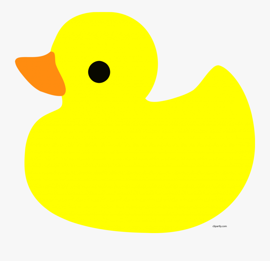 Duck, Transparent Clipart