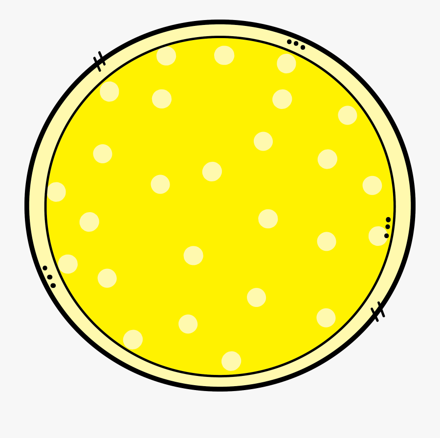 Smiley Face, Transparent Clipart