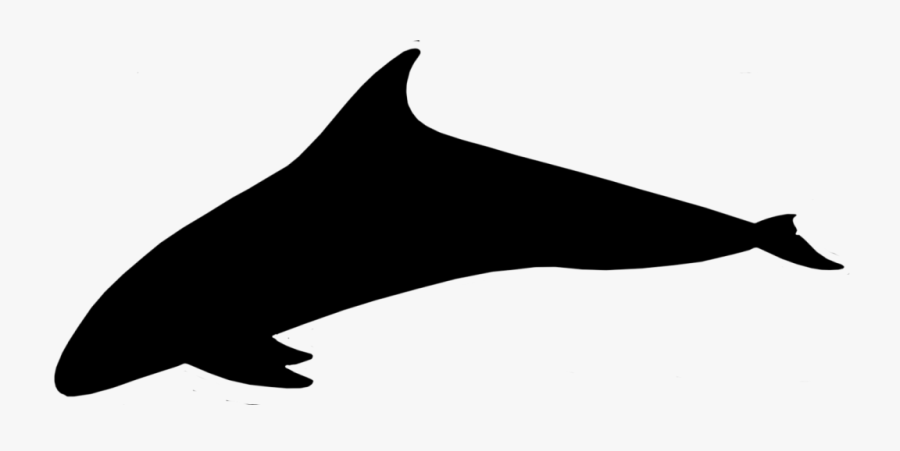 Dolphin Porpoise Clip Art Silhouette Line - Cetacea, Transparent Clipart