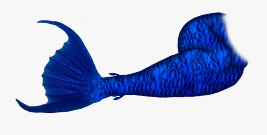 Fish Clipart Mermaid - Dark Blue Mermaid Tails, Transparent Clipart
