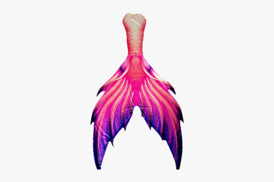 #mermaid #mermaidtail #tail #fin #fish #girlfish #humanfish - Mermaid Tail Design, Transparent Clipart