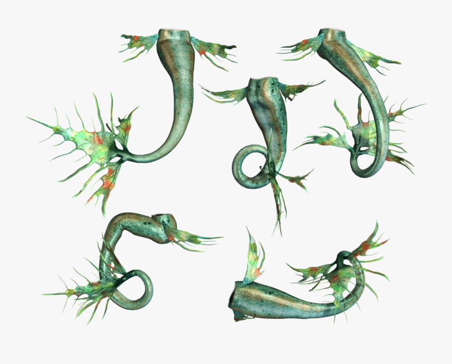 Mermaid Fin, Mermaid Tails, Scrap, Image, Gift Cards, - Portable Network Graphics, Transparent Clipart