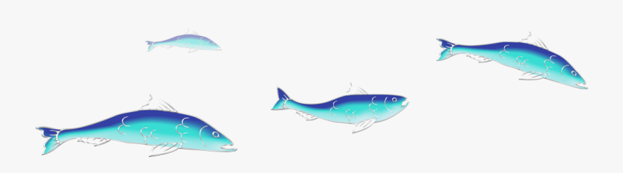 Coral Reef Fish, Transparent Clipart