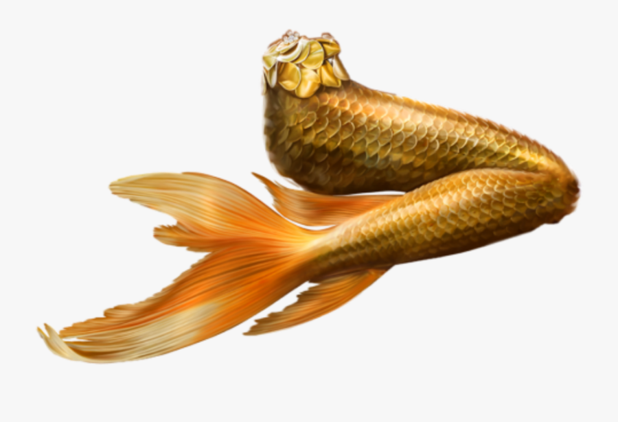 Mermaid Tail Transparent Gold - Png Femme Mermaid, Transparent Clipart