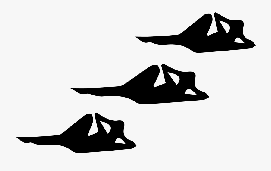 Silhouette Marine Mammal Shoe White Clip Art, Transparent Clipart