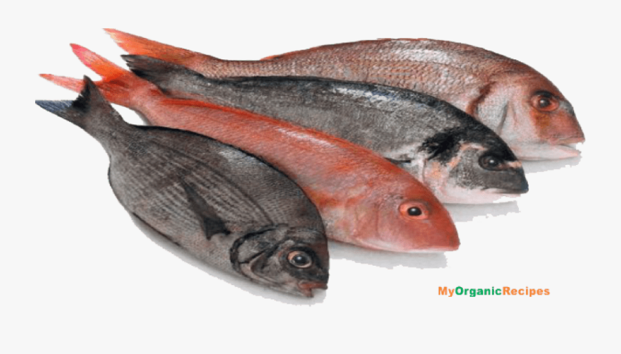 Free Png Fish Meat Png Images Transparent - Foods We Get From Animals, Transparent Clipart