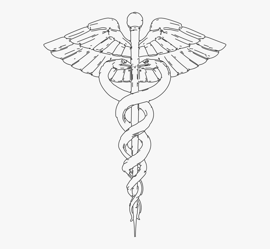 Line Art,plant,angle - Staff Of Hermes Drawing, Transparent Clipart