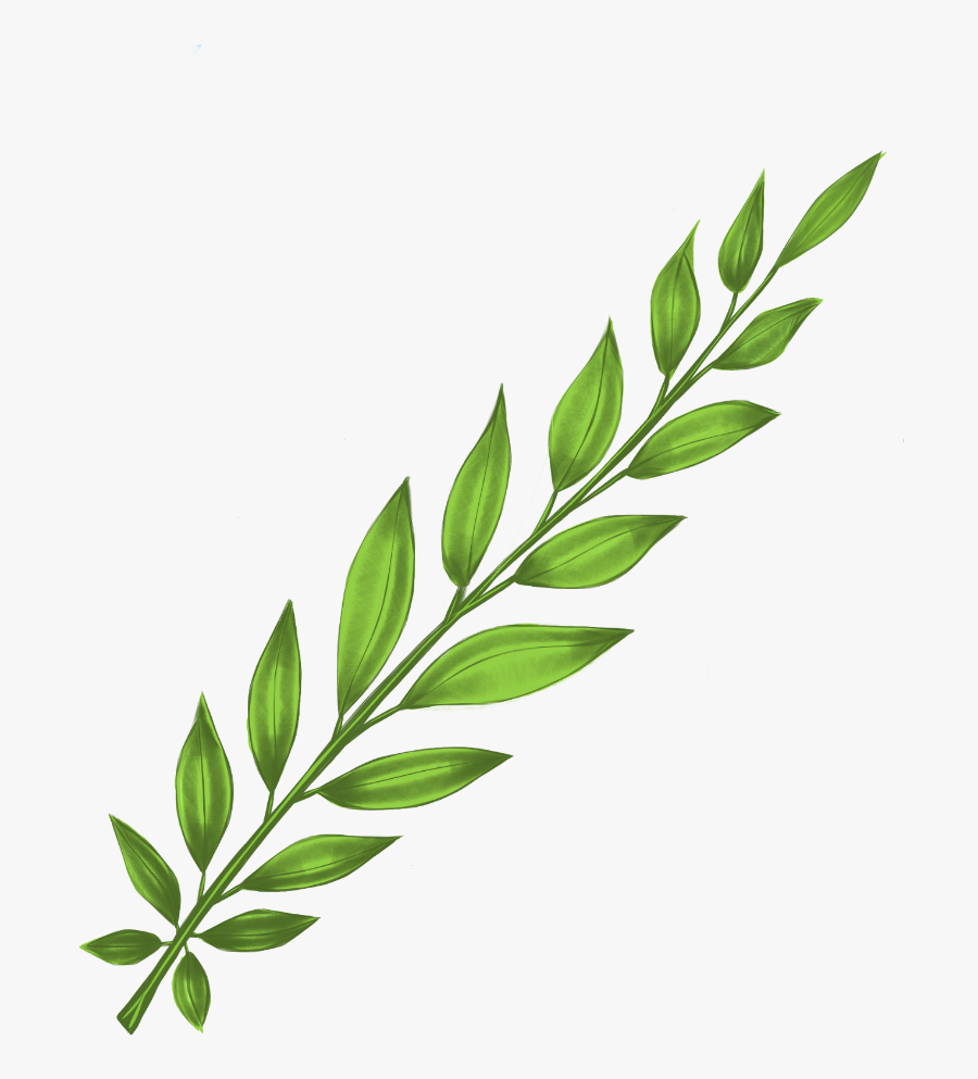 #leaves #bush #plant #branch #stem #floral #freetoedit, Transparent Clipart
