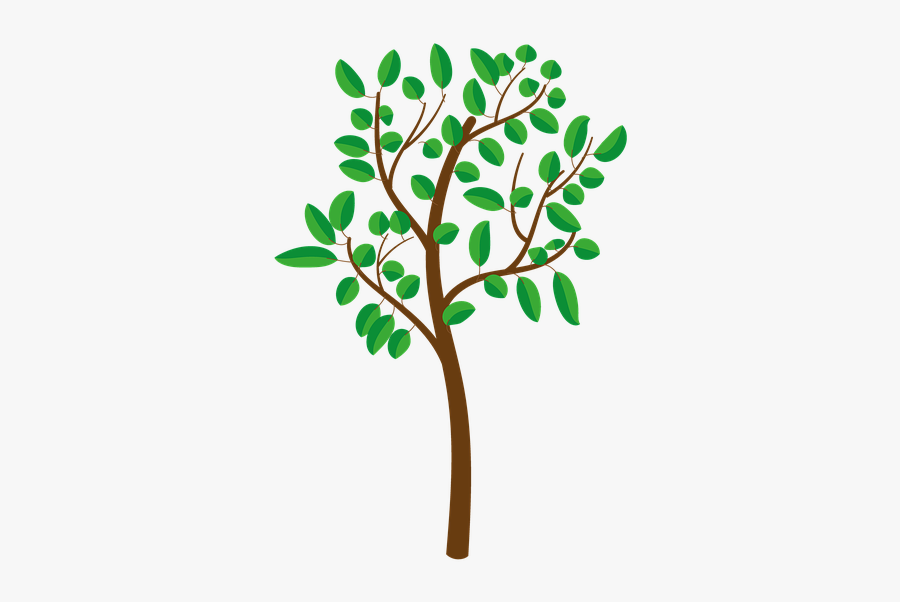 Tree, Bush, Plant, Nature, Autumn, Landscape - Illustration, Transparent Clipart