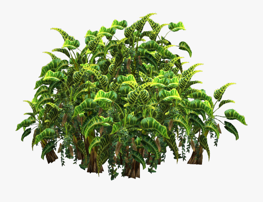 Free Icons Png - Tropical Plantas Plant Png, Transparent Clipart