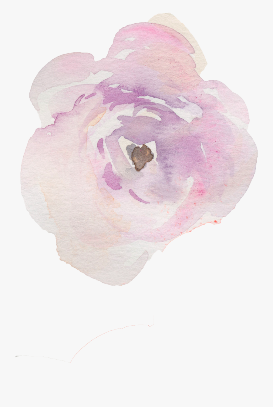 Clip Art Pink Camellia Bush - Impatiens, Transparent Clipart