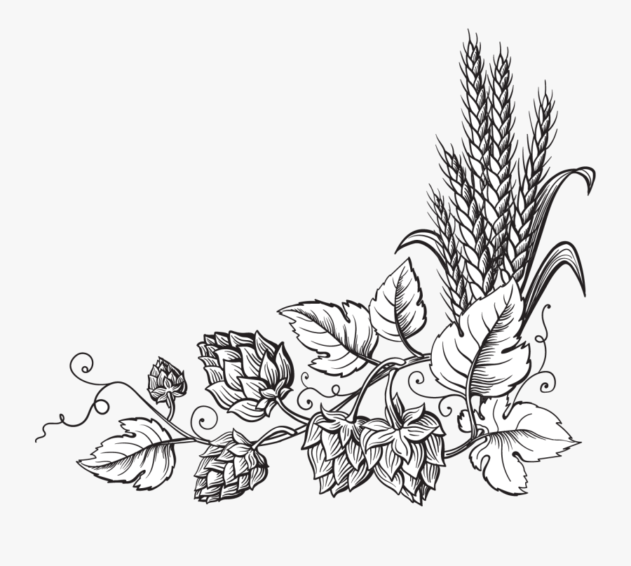 Clip Art X Braman Winery Brewery - Clipart Beer Hops, Transparent Clipart