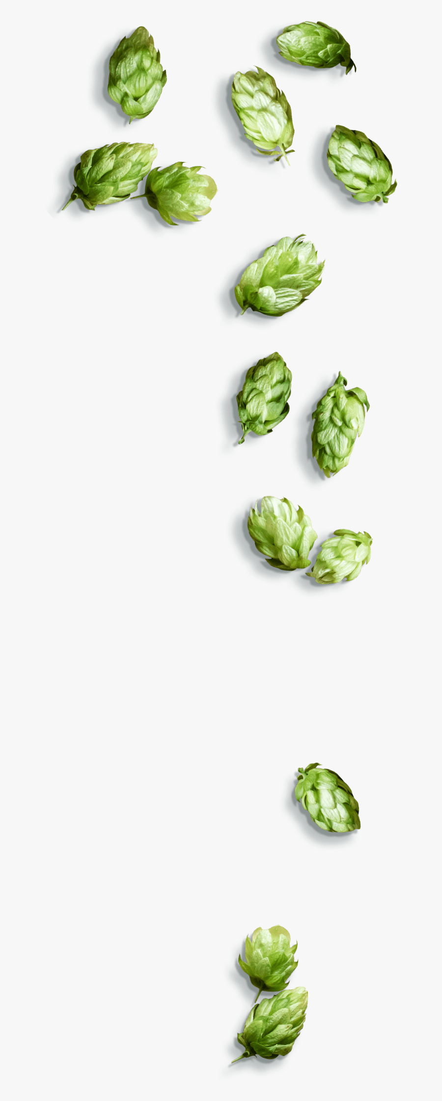 Flying Vegetables Png, Transparent Clipart