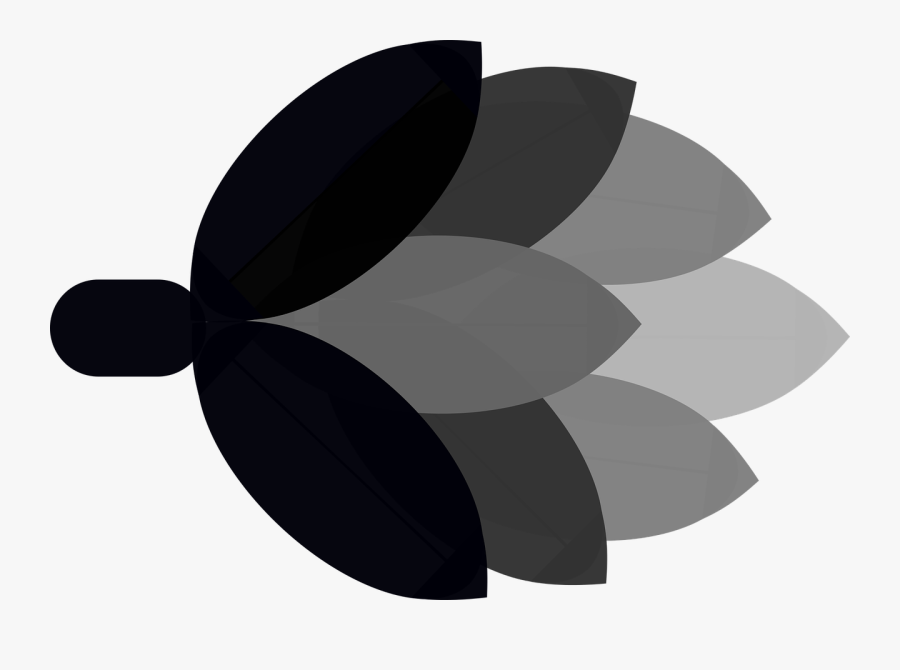 Beer, Hops - Circle, Transparent Clipart