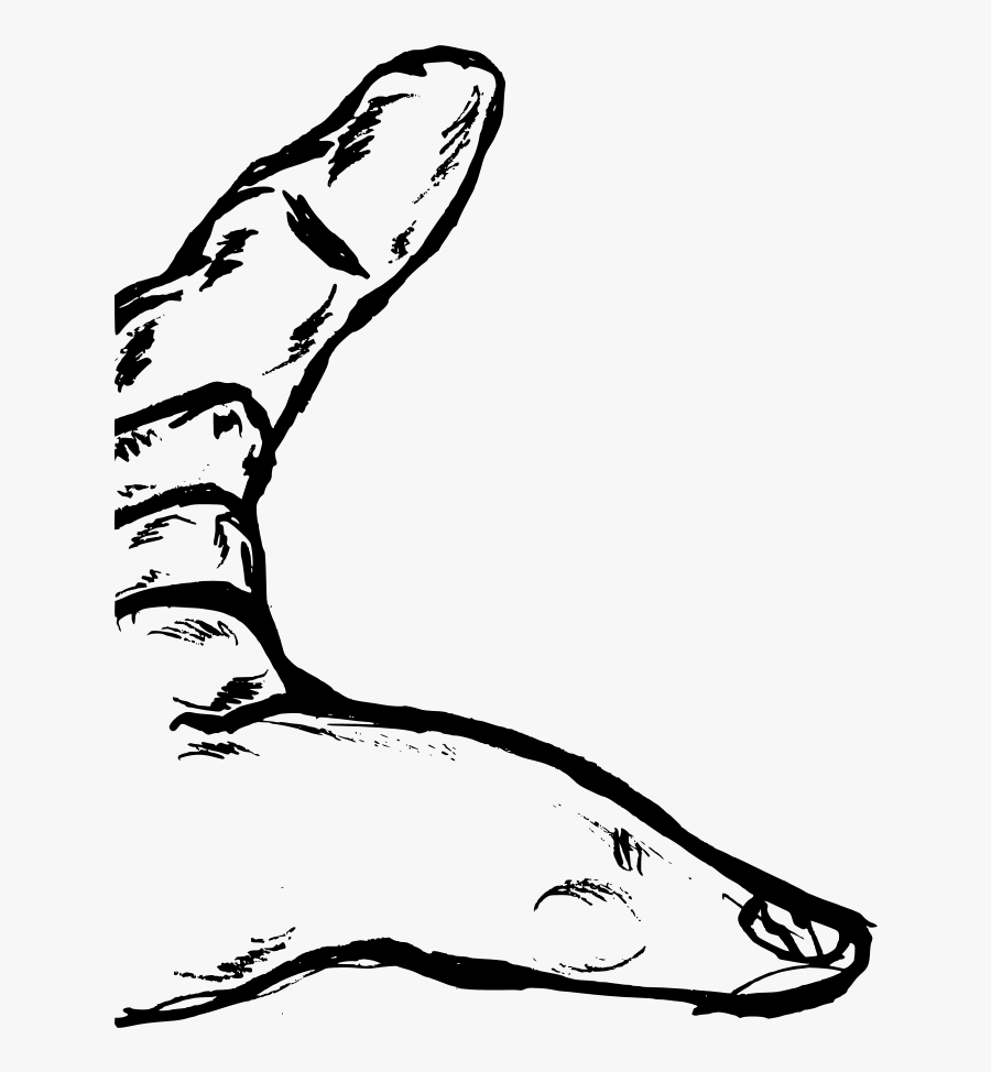 Micro Centrifuge Tube 2ml Free Fingers Clipart , Png - Clip Art, Transparent Clipart