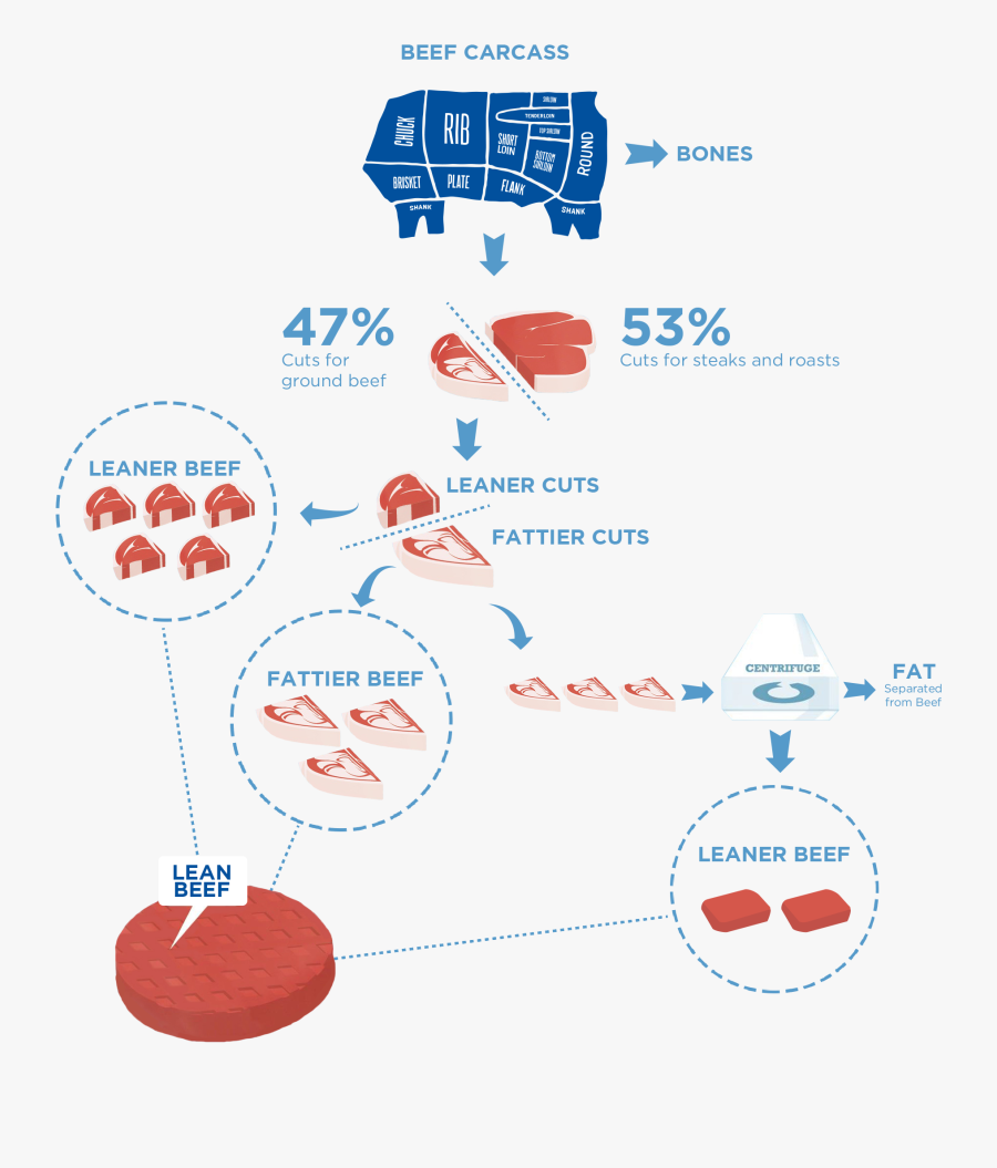Building A More Sustainable Beef Industry - Electric Blue, Transparent Clipart