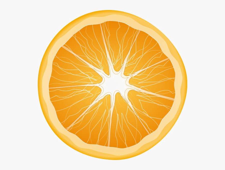 Half Orange Transparent Background - Transparent Fruits Vector Png, Transparent Clipart
