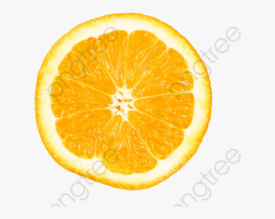 Transparent Lemon Clipart - Fresh Cut Orange Png, Transparent Clipart