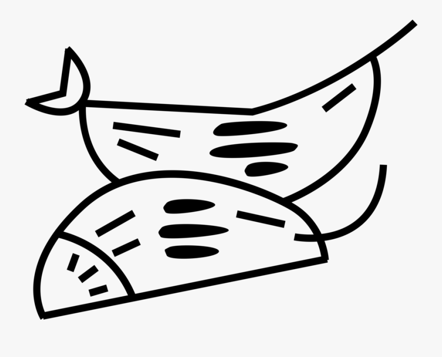 Vector Orange Slices - Line Art, Transparent Clipart