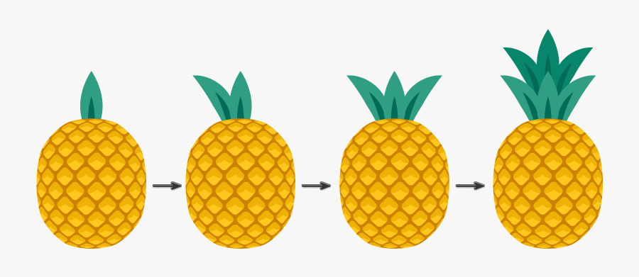 Pineapple Illustrator, Transparent Clipart