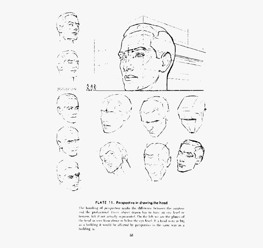 Andrew Loomis Drawing The Head And Hands 30 - Drawing, Transparent Clipart