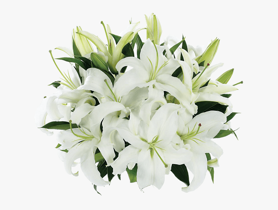 Tight Bouquet Of Lilies - Lilies White, Transparent Clipart