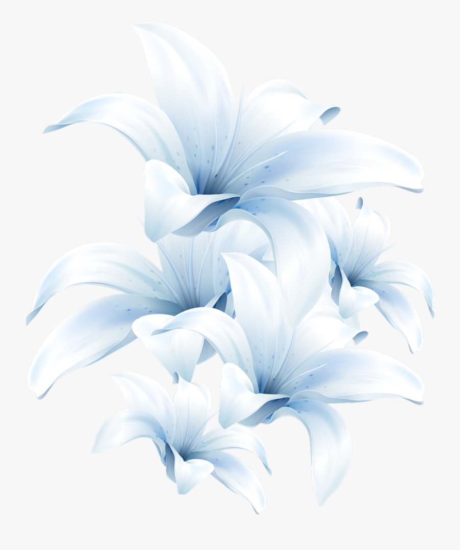 Lily Flower Brush Png, Transparent Clipart