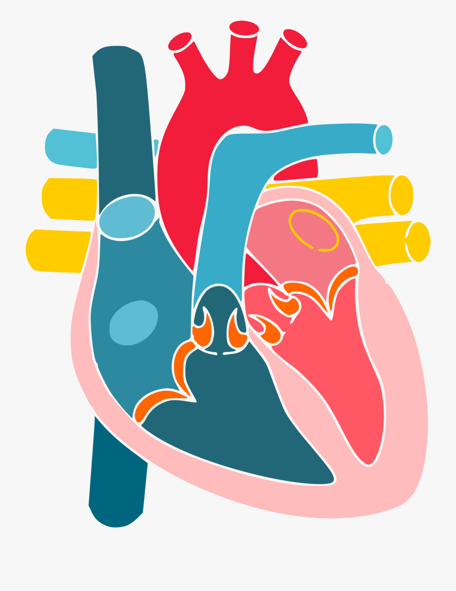 Clip Art Library Download File Heartsimpleandeasy Wikimedia, Transparent Clipart