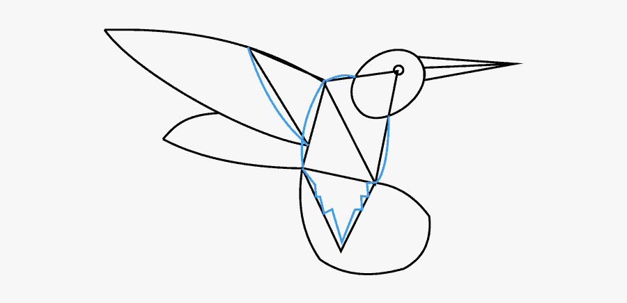 How To Draw Hummingbird - Sketch, Transparent Clipart