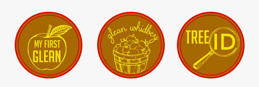 Tires With Black On Black Chemical Guys, Transparent Clipart