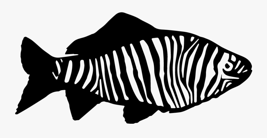Wetzebra - Animated Zebra Shark Transparent Gif, Transparent Clipart