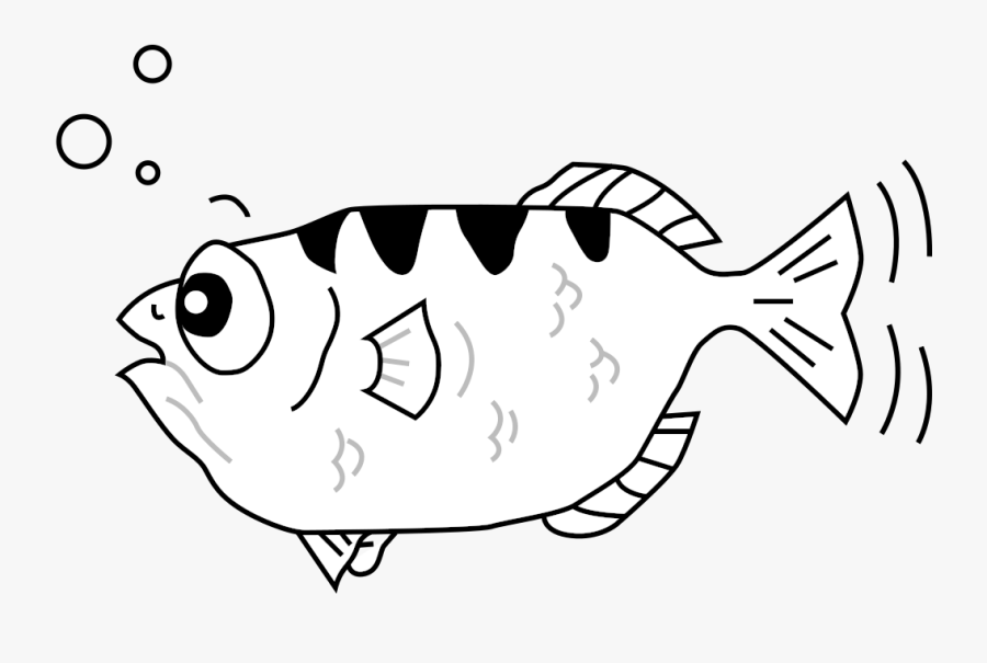 Seafood Drawing Arm - Gnu Debugger, Transparent Clipart