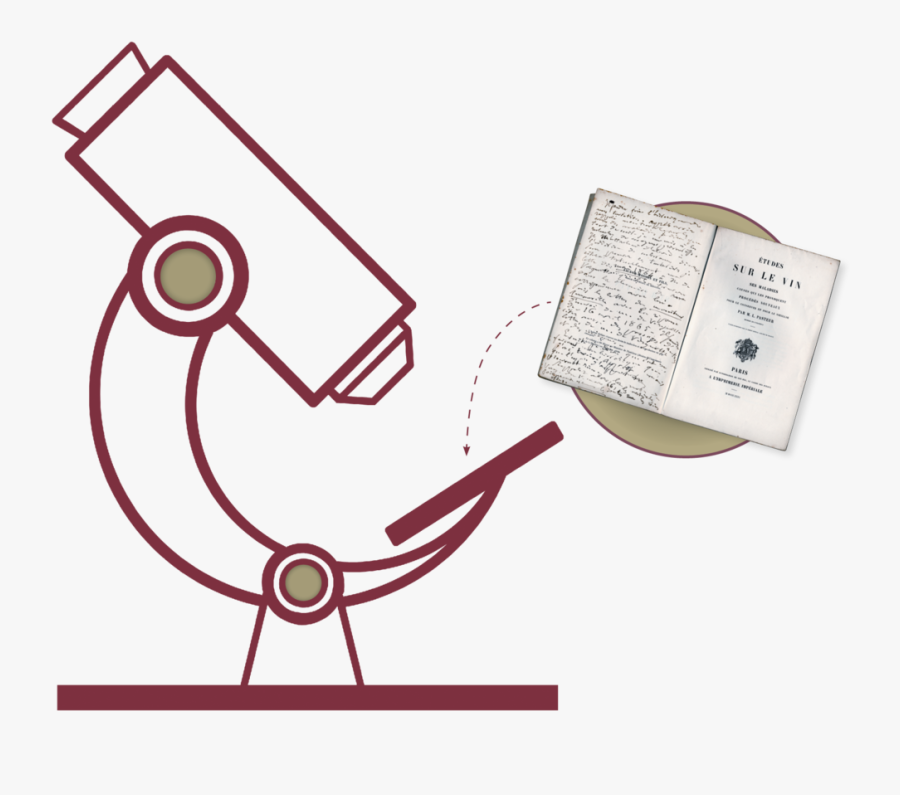 Illustration, Transparent Clipart