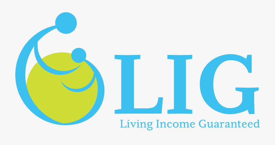 Graphic Design, Transparent Clipart