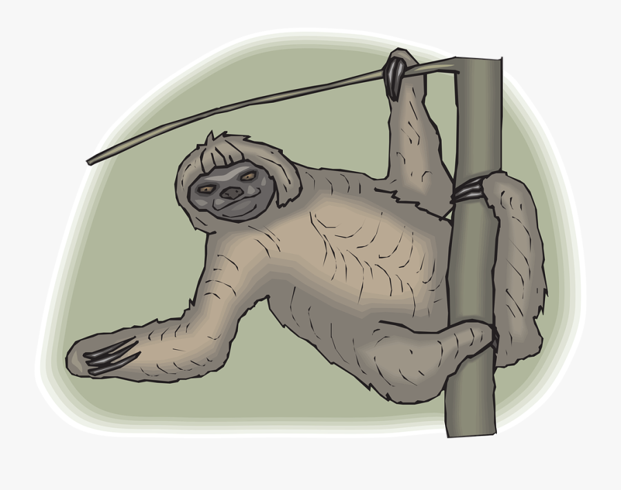Sloth, Transparent Clipart